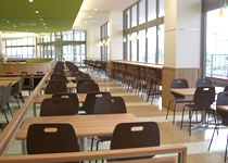 Chair Zic/Cort