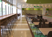 Chair Zic/Cort