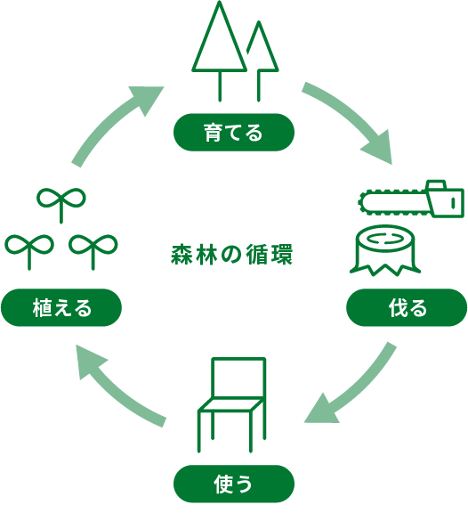 森林の循環