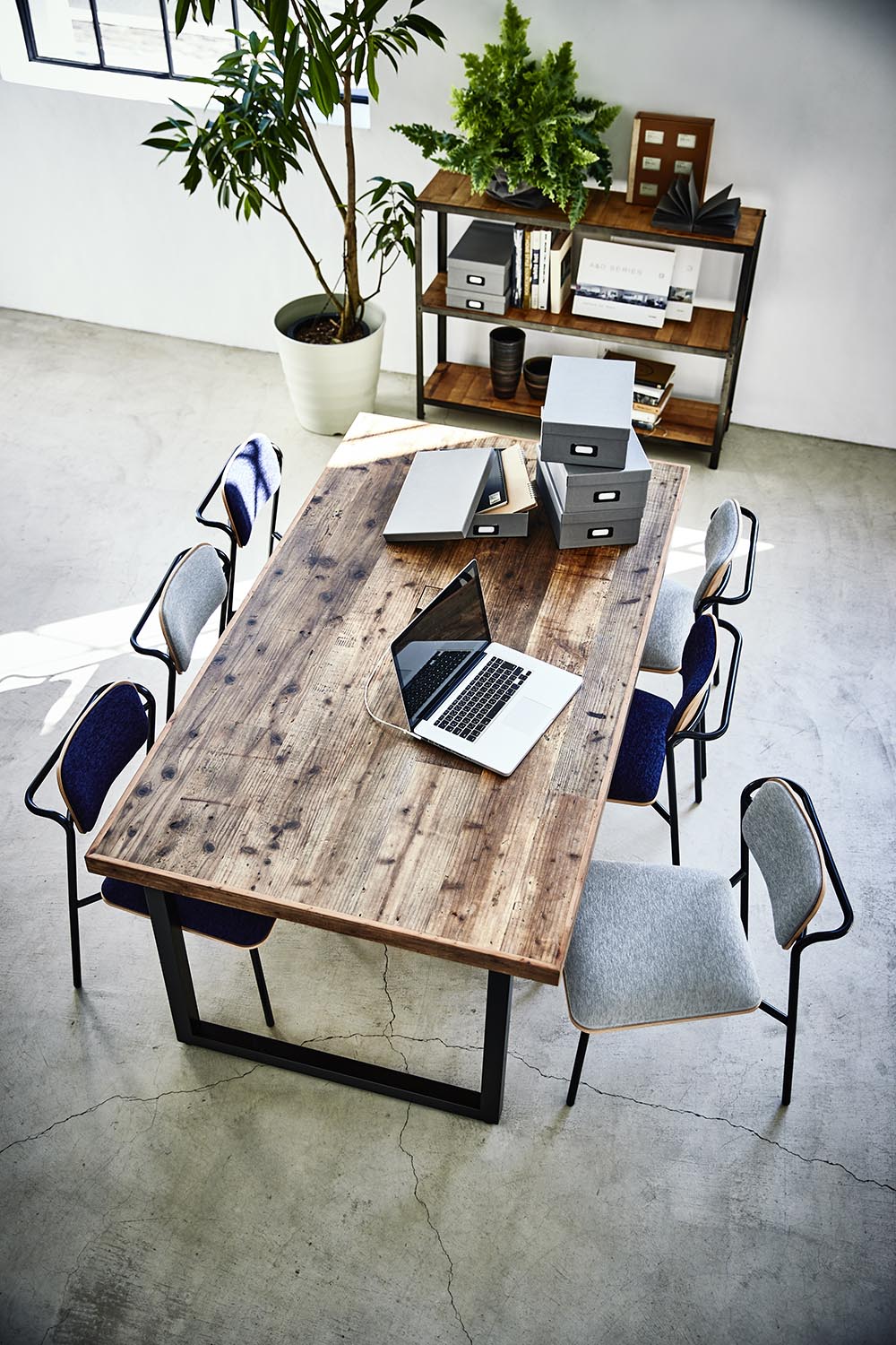 【チョビコ】５脚セット　calore　キノシタ チョビコ様専用】5脚セット calore キノシタ